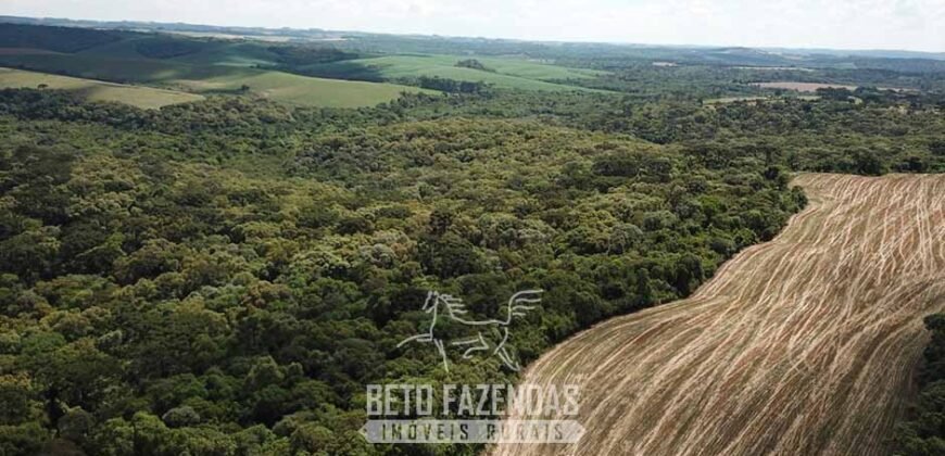 Fazenda à Venda 173 Hectares Dupla Apitdão | Lapa/ PR Fazenda à Venda 173 Hectares Dupla Apitdão | Lapa/ PR
