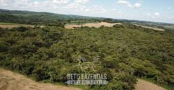 Fazenda à Venda 173 Hectares Dupla Apitdão | Lapa/ PR Fazenda à Venda 173 Hectares Dupla Apitdão | Lapa/ PR