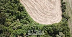 Fazenda à Venda 173 Hectares Dupla Apitdão | Lapa/ PR Fazenda à Venda 173 Hectares Dupla Apitdão | Lapa/ PR