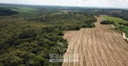 Fazenda à Venda 173 Hectares Dupla Apitdão | Lapa/ PR Fazenda à Venda 173 Hectares Dupla Apitdão | Lapa/ PR