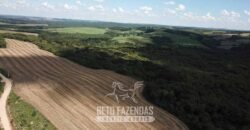 Fazenda à Venda 173 Hectares Dupla Apitdão | Lapa/ PR Fazenda à Venda 173 Hectares Dupla Apitdão | Lapa/ PR