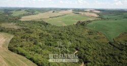 Fazenda à Venda 173 Hectares Dupla Apitdão | Lapa/ PR Fazenda à Venda 173 Hectares Dupla Apitdão | Lapa/ PR