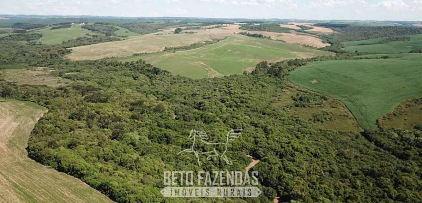 Fazenda à Venda 173 Hectares Dupla Apitdão | Lapa/ PR Fazenda à Venda 173 Hectares Dupla Apitdão | Lapa/ PR