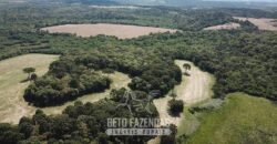 Fazenda à Venda 173 Hectares Dupla Apitdão | Lapa/ PR Fazenda à Venda 173 Hectares Dupla Apitdão | Lapa/ PR