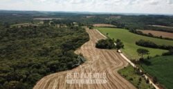 Fazenda à Venda 173 Hectares Dupla Apitdão | Lapa/ PR Fazenda à Venda 173 Hectares Dupla Apitdão | Lapa/ PR