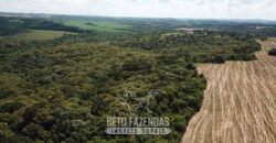 Fazenda à Venda 173 Hectares Dupla Apitdão | Lapa/ PR Fazenda à Venda 173 Hectares Dupla Apitdão | Lapa/ PR