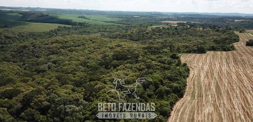 Fazenda à Venda 173 Hectares Dupla Apitdão | Lapa/ PR Fazenda à Venda 173 Hectares Dupla Apitdão | Lapa/ PR