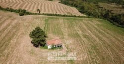 Fazenda à Venda 173 Hectares Dupla Apitdão | Lapa/ PR Fazenda à Venda 173 Hectares Dupla Apitdão | Lapa/ PR