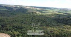Fazenda à Venda 173 Hectares Dupla Apitdão | Lapa/ PR Fazenda à Venda 173 Hectares Dupla Apitdão | Lapa/ PR