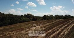 Fazenda à Venda 173 Hectares Dupla Apitdão | Lapa/ PR Fazenda à Venda 173 Hectares Dupla Apitdão | Lapa/ PR