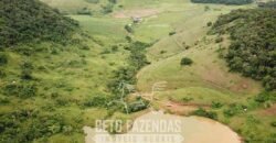 Fazenda à Venda 1.550 Hectares Alto Padrão Pecuária | Região da Mata Mineira / MG