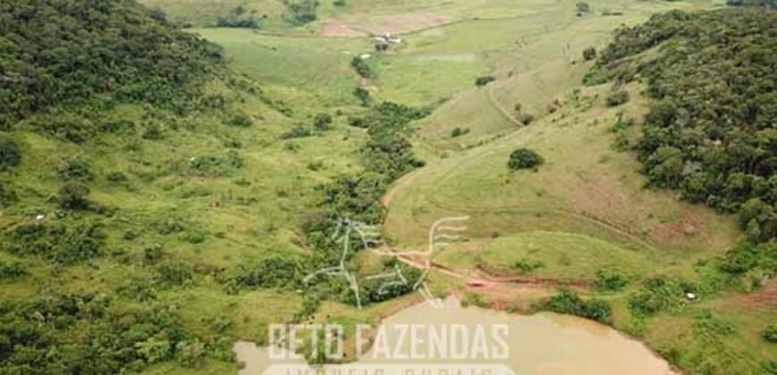Fazenda à Venda 1.550 Hectares Alto Padrão Pecuária | Região da Mata Mineira / MG