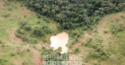 Fazenda à Venda 1.550 Hectares Alto Padrão Pecuária | Região da Mata Mineira / MG