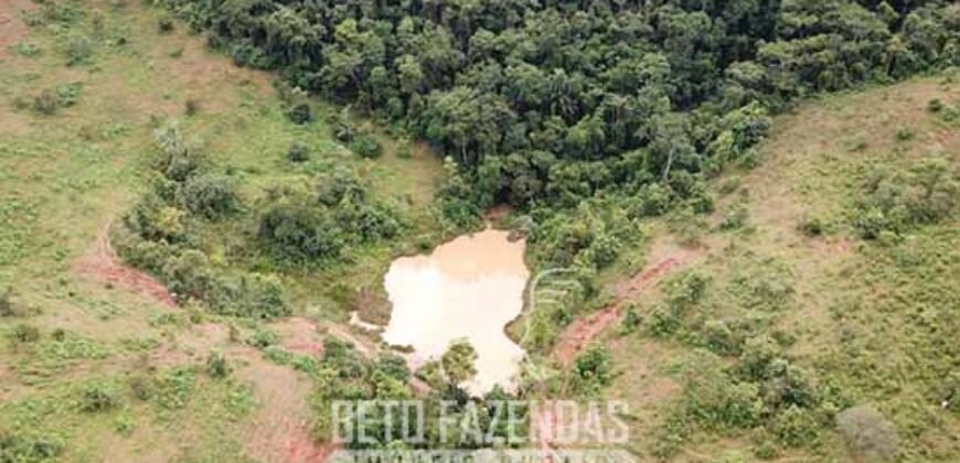 Fazenda à Venda 1.550 Hectares Alto Padrão Pecuária | Região da Mata Mineira / MG
