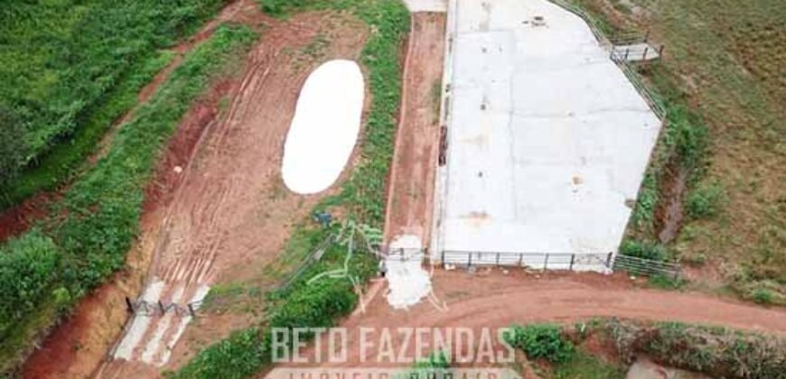 Fazenda à Venda 1.550 Hectares Alto Padrão Pecuária | Região da Mata Mineira / MG