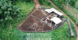 Fazenda à Venda 1.550 Hectares Alto Padrão Pecuária | Região da Mata Mineira / MG