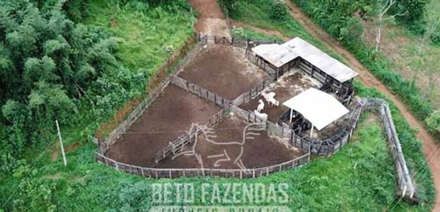 Fazenda à Venda 1.550 Hectares Alto Padrão Pecuária | Região da Mata Mineira / MG