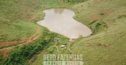 Fazenda à Venda 1.550 Hectares Alto Padrão Pecuária | Região da Mata Mineira / MG