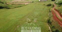 Fazenda à Venda 1.550 Hectares Alto Padrão Pecuária | Região da Mata Mineira / MG