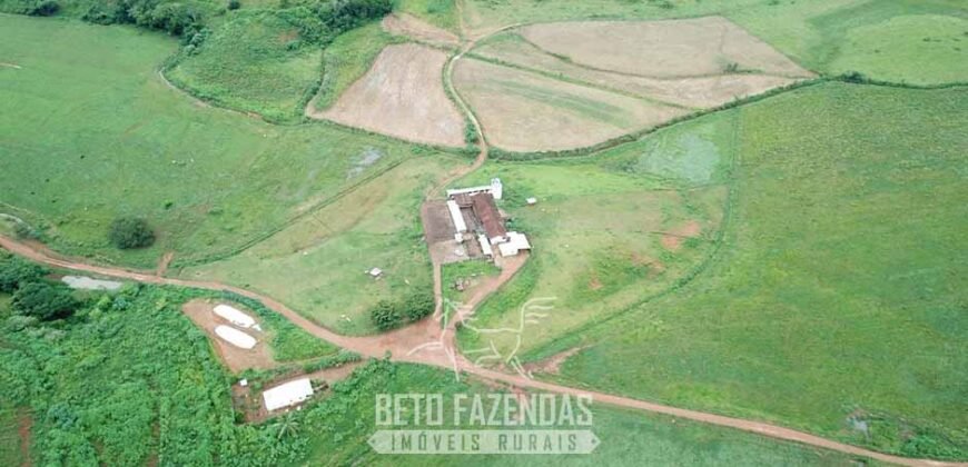 Fazenda à Venda 1.550 Hectares Alto Padrão Pecuária | Região da Mata Mineira / MG