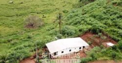 Fazenda à Venda 1.550 Hectares Alto Padrão Pecuária | Região da Mata Mineira / MG