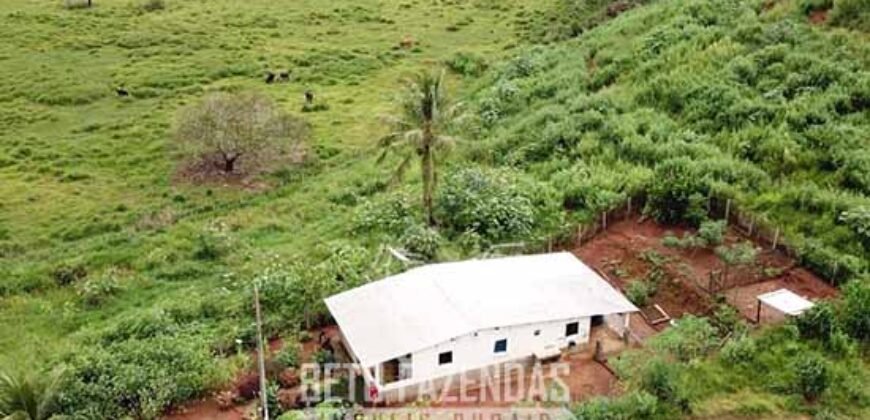 Fazenda à Venda 1.550 Hectares Alto Padrão Pecuária | Região da Mata Mineira / MG