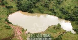 Fazenda à Venda 1.550 Hectares Alto Padrão Pecuária | Região da Mata Mineira / MG