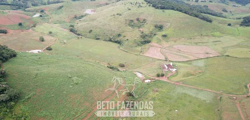Fazenda à Venda 1.550 Hectares Alto Padrão Pecuária | Região da Mata Mineira / MG