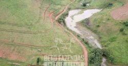 Fazenda à Venda 1.550 Hectares Alto Padrão Pecuária | Região da Mata Mineira / MG