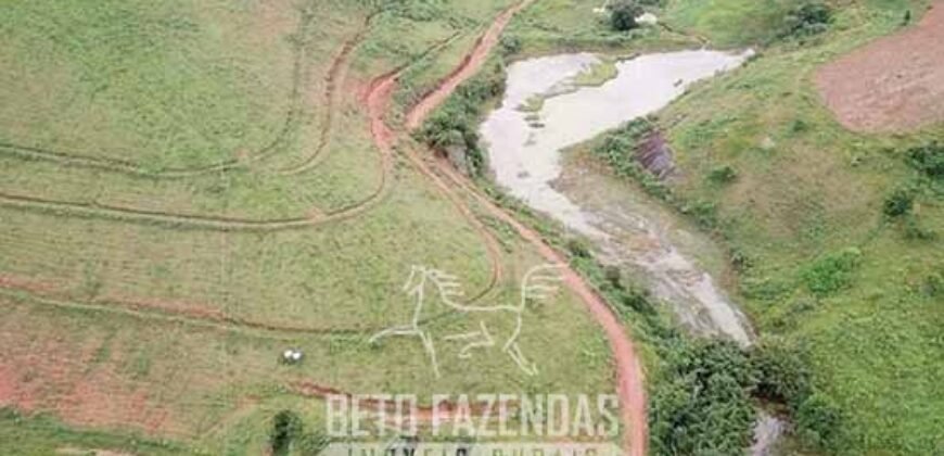 Fazenda à Venda 1.550 Hectares Alto Padrão Pecuária | Região da Mata Mineira / MG