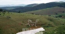 Fazenda à Venda 1.550 Hectares Alto Padrão Pecuária | Região da Mata Mineira / MG