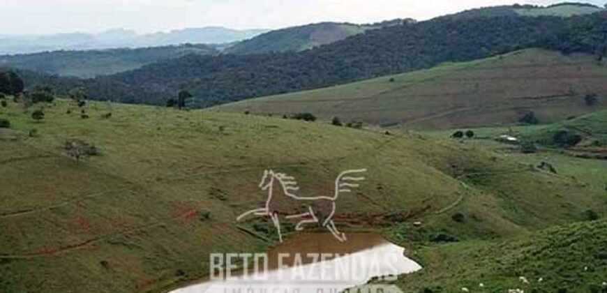 Fazenda à Venda 1.550 Hectares Alto Padrão Pecuária | Região da Mata Mineira / MG