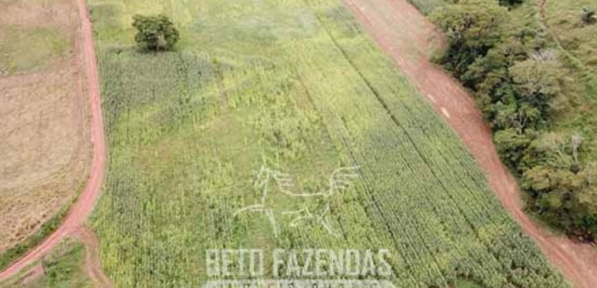 Fazenda à Venda 1.550 Hectares Alto Padrão Pecuária | Região da Mata Mineira / MG