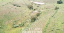 Fazenda à Venda 1.550 Hectares Alto Padrão Pecuária | Região da Mata Mineira / MG