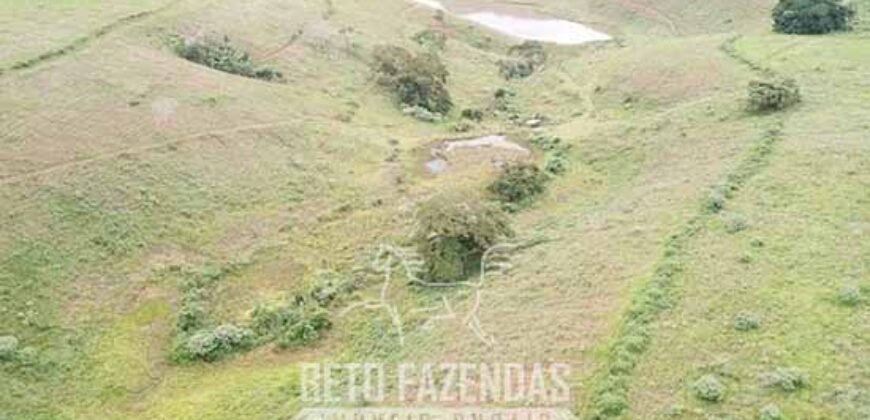 Fazenda à Venda 1.550 Hectares Alto Padrão Pecuária | Região da Mata Mineira / MG