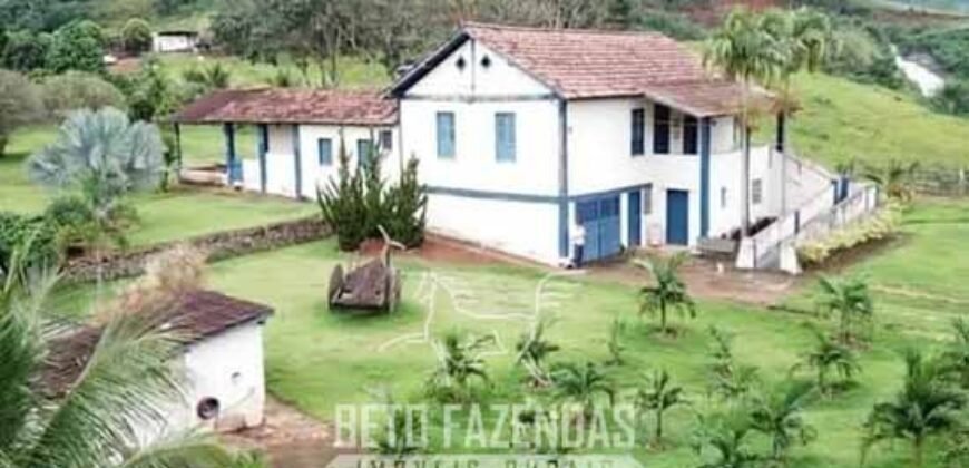 Fazenda à Venda 1.550 Hectares Alto Padrão Pecuária | Região da Mata Mineira / MG