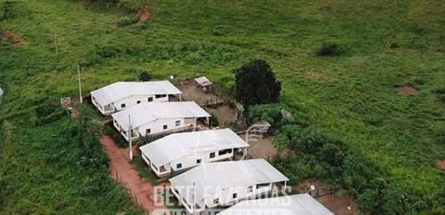 Fazenda à Venda 1.550 Hectares Alto Padrão Pecuária | Região da Mata Mineira / MG