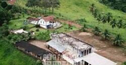 Fazenda à Venda 1.550 Hectares Alto Padrão Pecuária | Região da Mata Mineira / MG