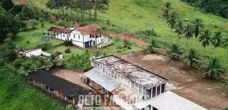 Fazenda à Venda 1.550 Hectares Alto Padrão Pecuária | Região da Mata Mineira / MG