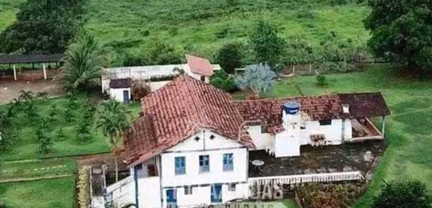 Fazenda à Venda 1.550 Hectares Alto Padrão Pecuária | Região da Mata Mineira / MG