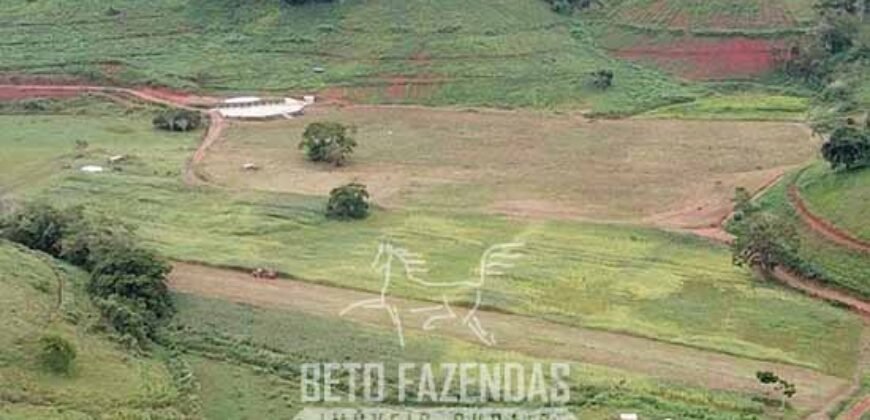 Fazenda à Venda 1.550 Hectares Alto Padrão Pecuária | Região da Mata Mineira / MG