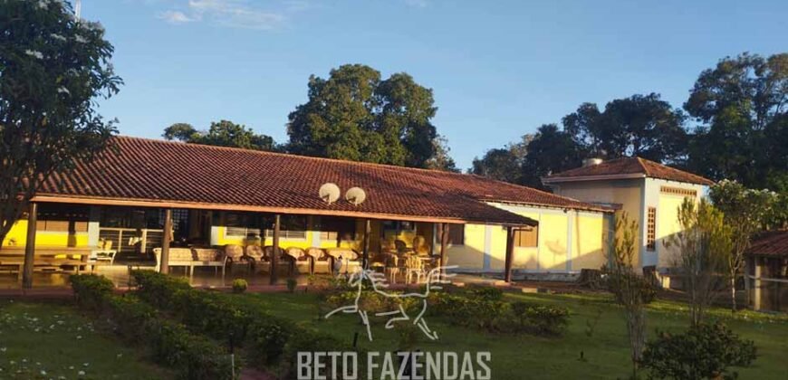 Fazenda à venda 17.530 Hectares Dupla Aptidão | Sudoeste do Tocantis Fazenda à venda 17.530 Hectares Dupla Aptidão | Sudoeste do Tocantis