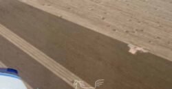 Fazenda Gigante à Venda 62.417 Hectares Estrutura Moderna e Completa | Baixa Grande/PI