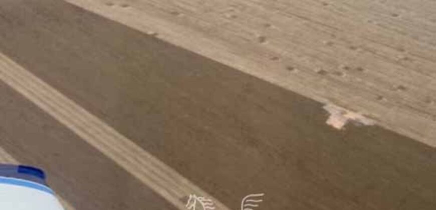 Fazenda Gigante à Venda 62.417 Hectares Estrutura Moderna e Completa | Baixa Grande/PI