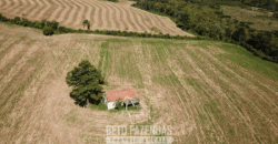 Fazenda à Venda 173 Hectares Dupla Apitdão | Lapa/ PR Fazenda à Venda 173 Hectares Dupla Apitdão | Lapa/ PR