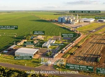 Fazenda Gigante à Venda 62.417 Hectares Estrutura Moderna e Completa | Baixa Grande/PI