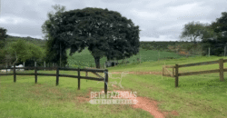 Fazenda à Venda 153 Hectares Excelete Aptidão para Café e Citricultura | Mindurim/MG