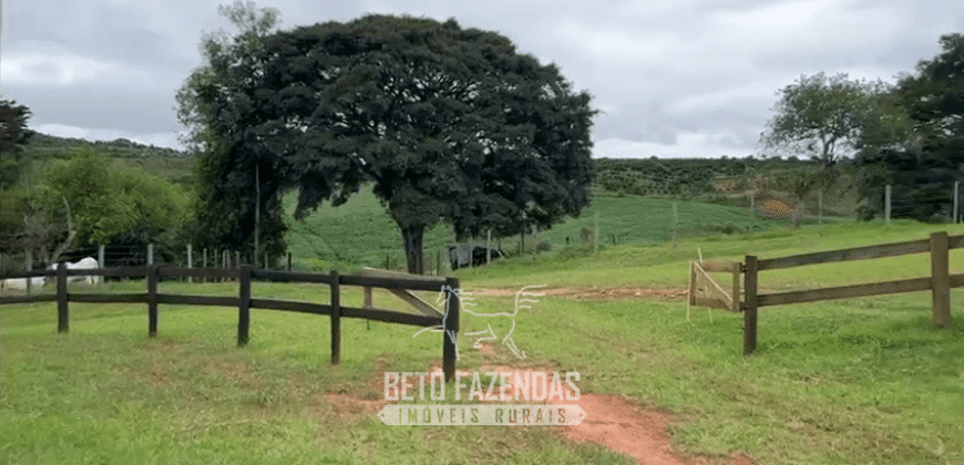 Fazenda à Venda 153 Hectares Excelete Aptidão para Café e Citricultura | Mindurim/MG