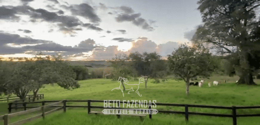 Fazenda à Venda 153 Hectares Excelete Aptidão para Café e Citricultura | Mindurim/MG