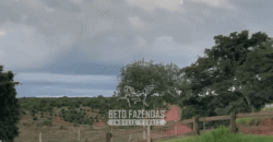 Fazenda à Venda 153 Hectares Excelete Aptidão para Café e Citricultura | Mindurim/MG